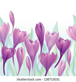 Flower crocus seamless background. Floral spring border. Flourish pattern