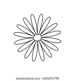 flower cute nature