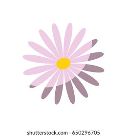 flower cute nature