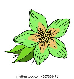 Flower daffodil on white background vector illustration. Cloth design, wallpaper, wrapping, textiles, paper, cards, invitations, holiday