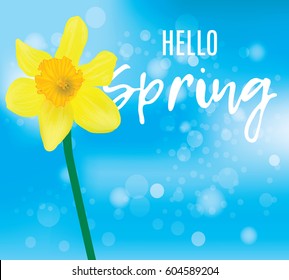 Flower of a daffodil with text. Hello spring. Bright blue banner with bokeh. Vector flower.