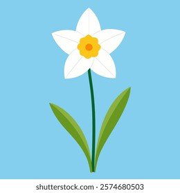Flower daffodil  vector colourfull logo