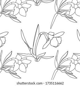 Flower -daffodil.Vector image.Illustration on white and color background.