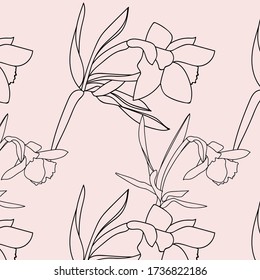 Flor -daffodil.Imagen vectora.Ilustración sobre el fondo blanco y de color.