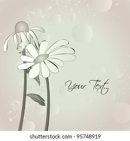 flower daisy background