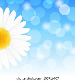 Flower Daisy And Blue Sky, Vector Illustration