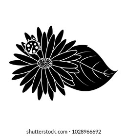flower daisy ladybug and leaves decoration natural