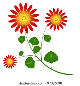 Flower daisy like