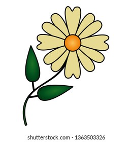 flower daisy nature