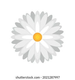 flower daisy nature isolated icon