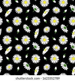 Flower daisy seamless pattern on black background vector colorful flat illustration