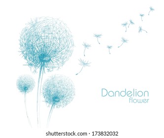 Flower Dandelion Sketch