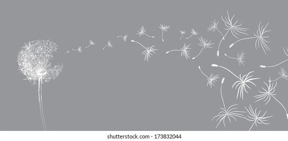 Flower Dandelion Sketch