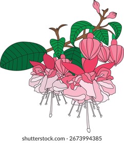 Flower Decor Bunch Of Bloom Icon Design Vector