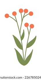 Flower decor element flat icon Wildflowers. Vector illustration