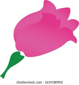 A flower to decorate and make your project beautiful