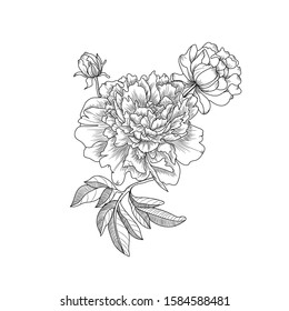 Flower decoration. Bouquet of garden peonies. Black and white vector illustration.  Template for creating greeting cards, wedding invitations, covers.