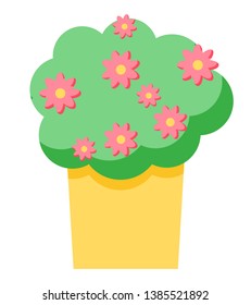 Flower decoration for home interior vector, flower growing in pot isolated plan with flourishing. Blooming botanical decor decorative object for house