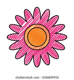 flower decoration ornament natural image