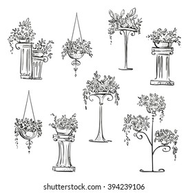 Flower decorations. Vector sketch