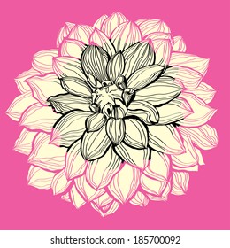 Flower decorative background. Vector illustration. EPS