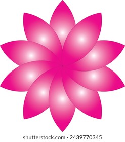  flower deep droplets petal pink gradient scheme daisies soft warm light girl standing field center garden