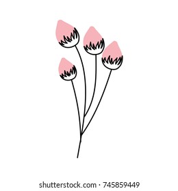 flower delicate bloom bub floral
