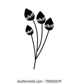 flower delicate bloom bub floral