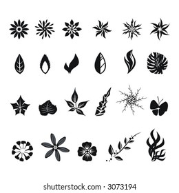 flower design art abstract beauty backgrounds beautiful nature decoration floral vector spring