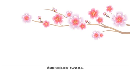 Flower design. Flower background. Branch of Sakura isolated on white background. Apple-tree flowers. Cherry blossom. Vector EPS 10 cmyk