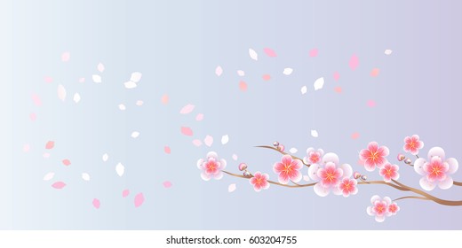 Flower design. Flower background. Branch of Sakura and petals flying isolated on light Purple Violet gradient background. Apple-tree flowers. Cherry blossom. Vector EPS 10, cmyk