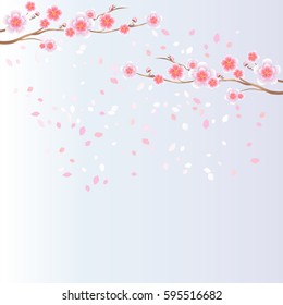 Flower design. Flower background. Branches of Sakura and petals flying isolated on light blue background. Apple-tree flowers. Cherry blossom. Vector EPS 10, cmyk.