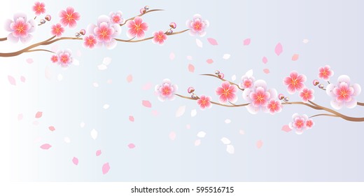 Flower design. Flower background. Branches of Sakura and petals flying isolated on light blue background. Apple-tree flowers. Cherry blossom. Vector EPS 10, cmyk.