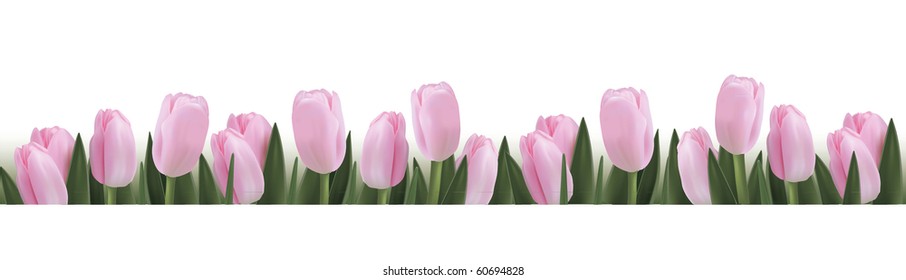 Blume Gestaltungsgrenze einzeln auf Weiß. Vektorgrafik.