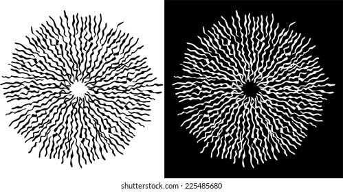 Flower -design element