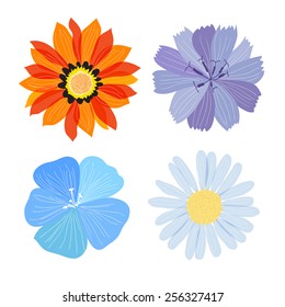 Flower Design Elements