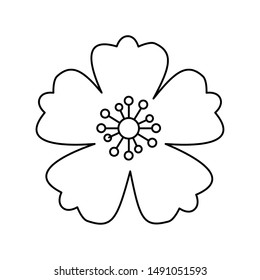 Flower design, floral nature plant ornament garden decoration and botany theme Vector illustration