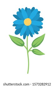 Flower design, floral nature plant ornament garden decoration and botany theme Vector illustration