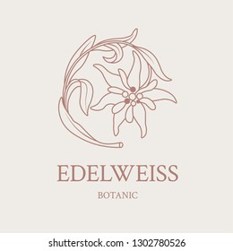 Flower design of the logo with a hand-drawn flower of Edelweiss