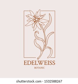 Flower design of the logo with a hand-drawn flower of Edelweiss