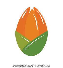 flower design, natural floral nature plant ornament garden decoration and botany theme Vector illustration