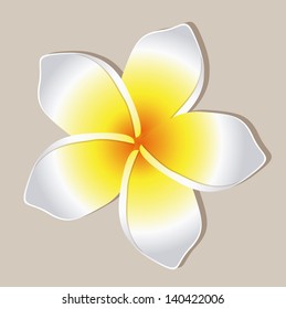 flower design over gray background vector illustration