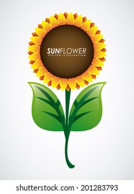 Flower design over gray background, vector illustration