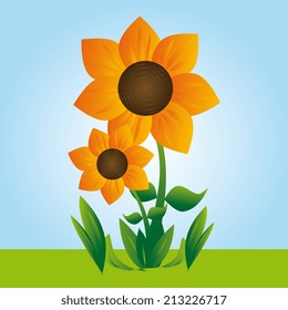 Flower design over landscape background, vector illustration