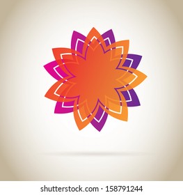 flower design over pattern background vector illustration