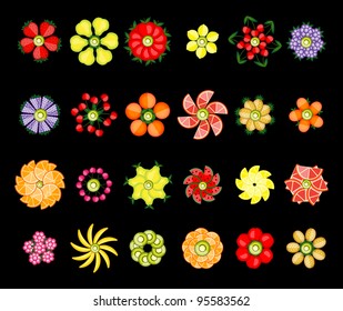 Flower design set made from fruits