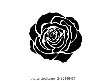 flower design vector hand drawn vector red rose contour line  stroke