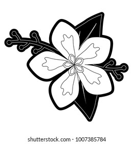 flower  design vector illustration