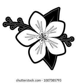 flower design vector  illustration