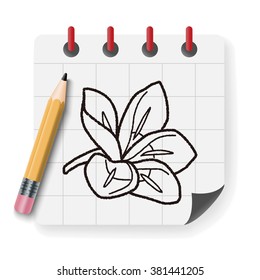 flower doodle